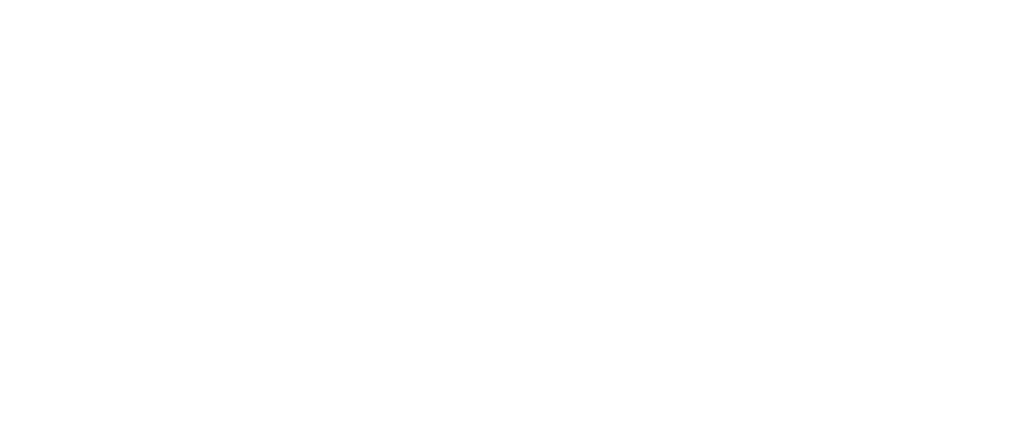 Wienerberger VIP