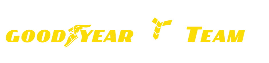 Goodyear Poland - Car Dealer